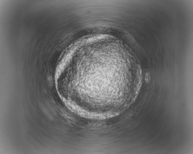 X0000080730771200701021119