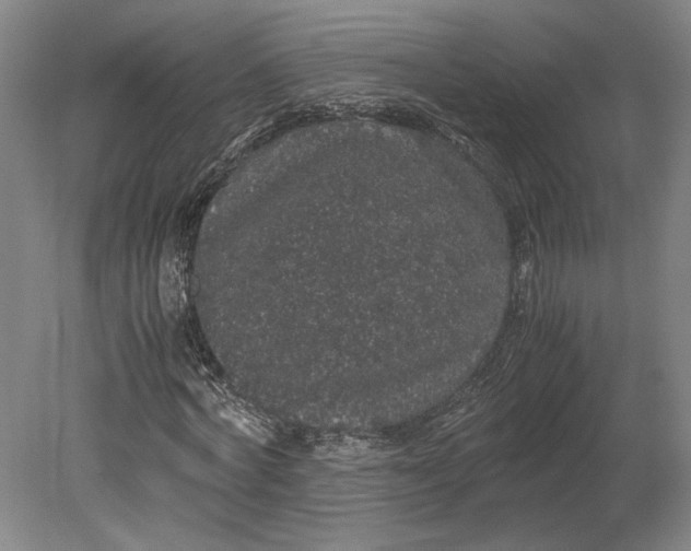 X0000080730772200701021119