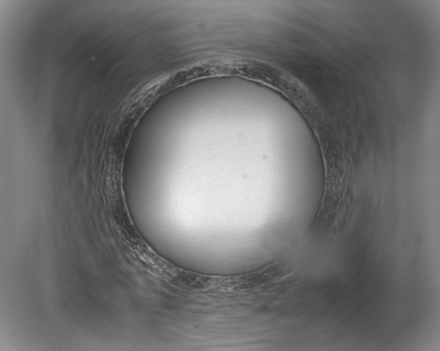 X0000080730773200701021119