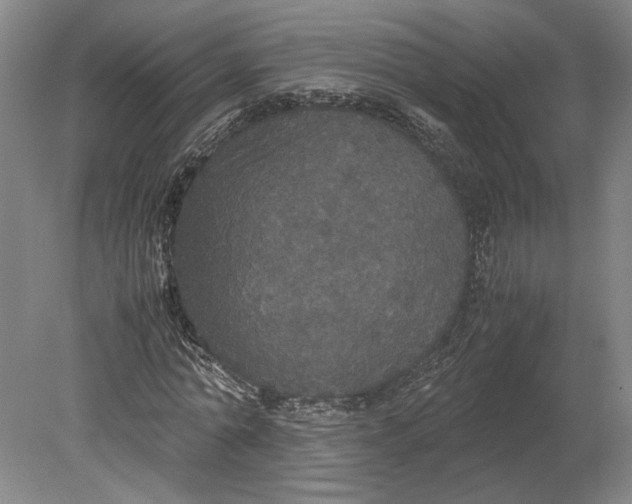 X0000080730774200701021119