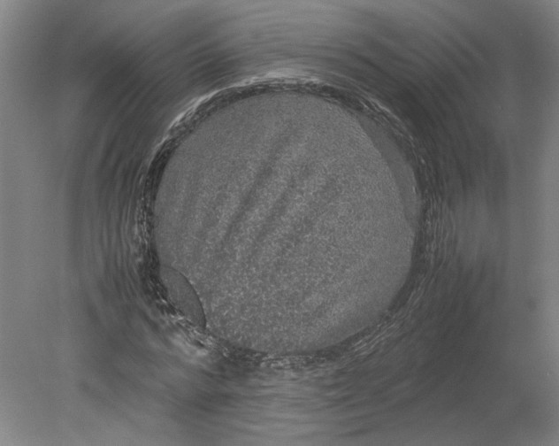 X0000080730776200701021119