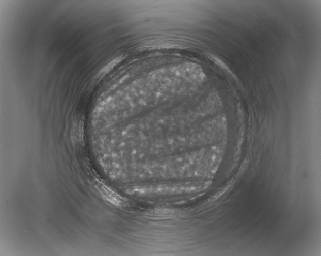 X0000080730777200701021119