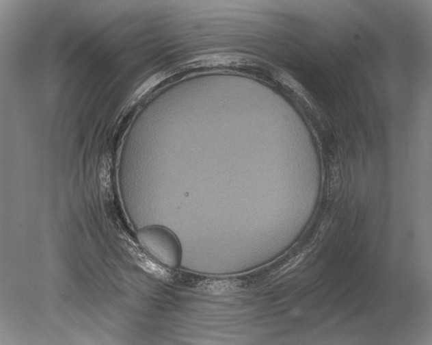 X0000080730778200701021119