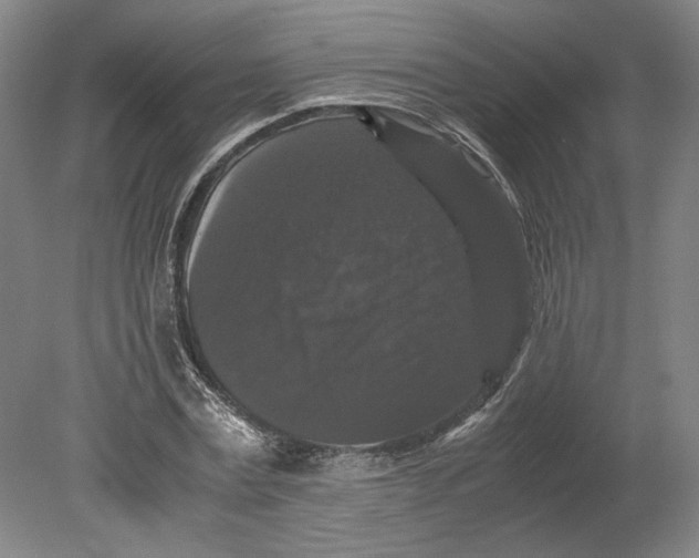 X0000080730779200701021119