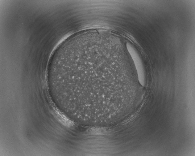 X0000080730780200701021119