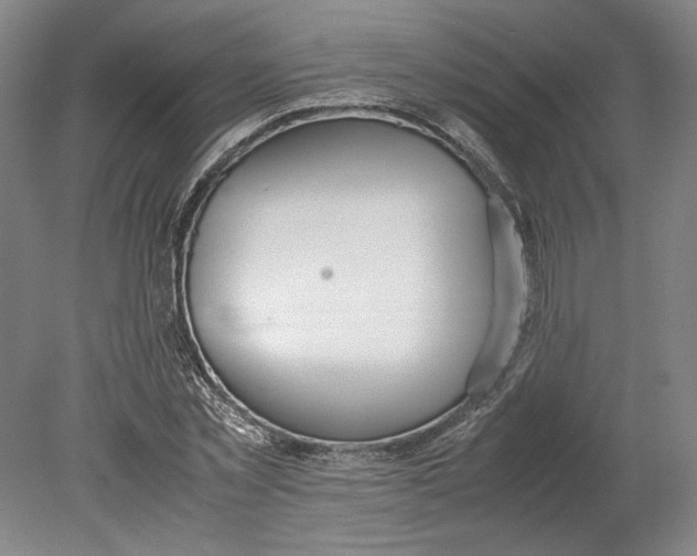 X0000080730781200701021119