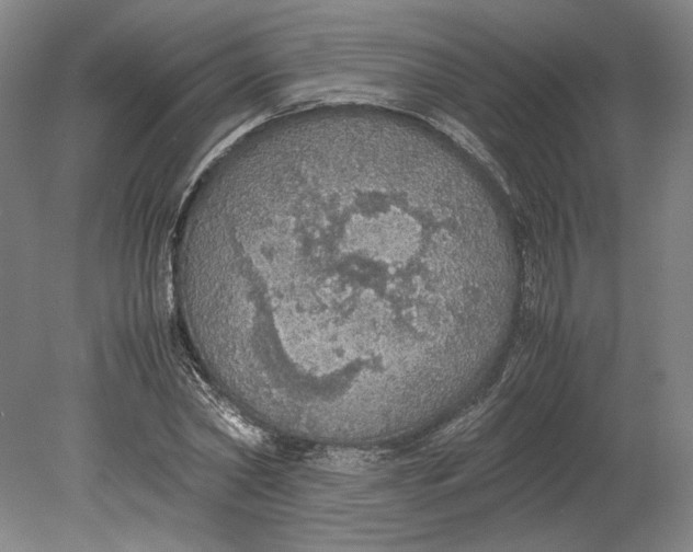 X0000080730782200701021119