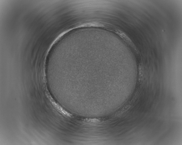 X0000080730784200701021119