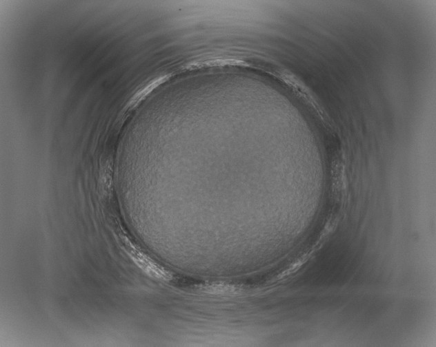 X0000080730785200701021119