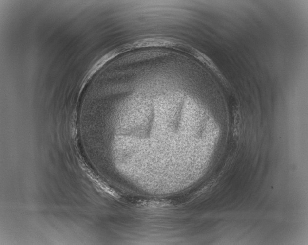 X0000080730786200701021119