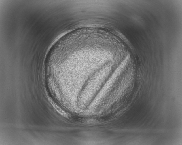 X0000080730787200701021119