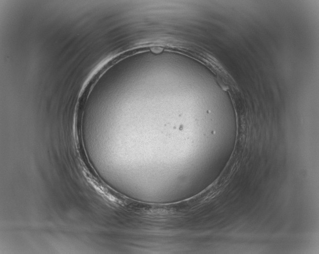 X0000080730788200701021119