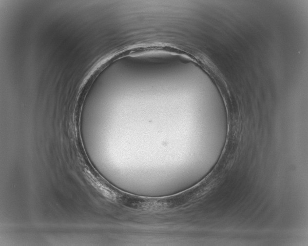 X0000080730789200701021119