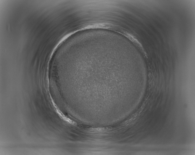 X0000080730792200701021119