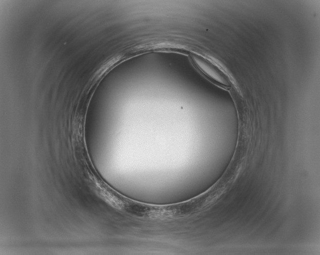 X0000080730793200701021119