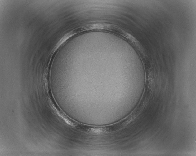 X0000080730794200701021119