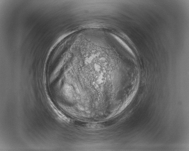 X0000080730795200701021119