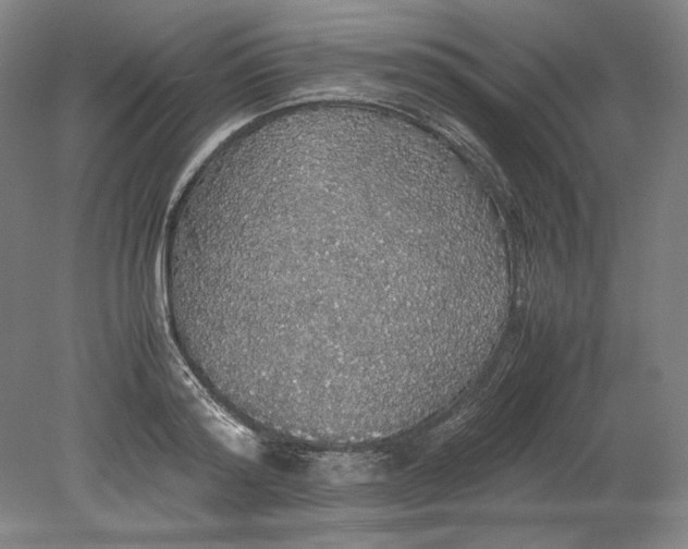 X0000080730796200701021119