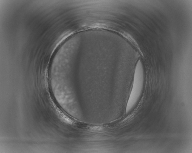 X0000080730798200701021119