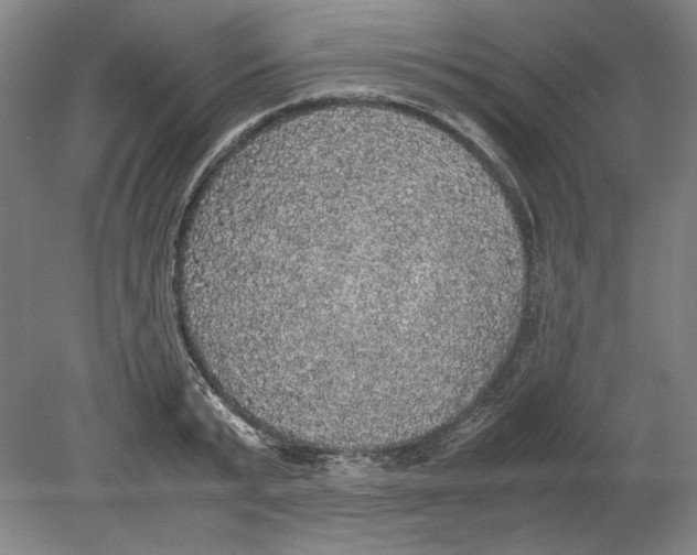 X0000080730799200701021118