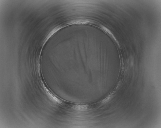 X0000080730802200701021118