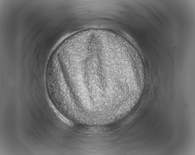 X0000080730803200701021118