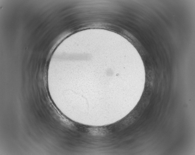 X0000080730804200701021118