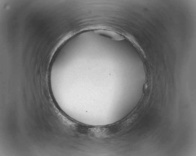 X0000080730805200701021118