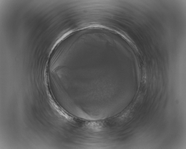 X0000080730806200701021118