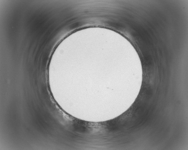 X0000080730807200701021118