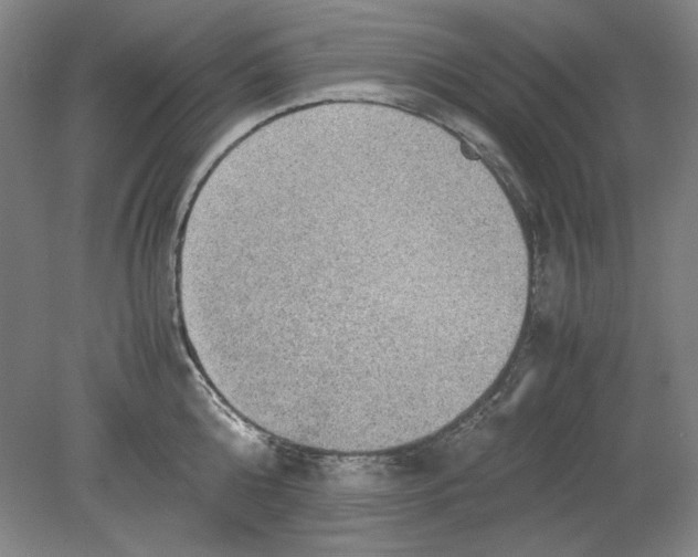 X0000080730808200701021118