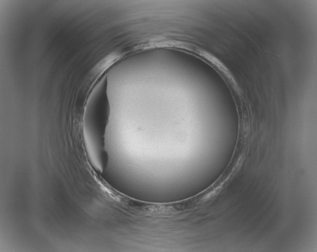 X0000080730809200701021118