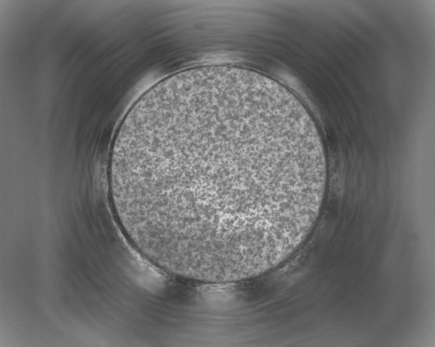 X0000080730810200701021118