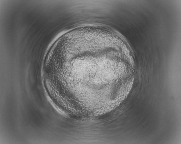 X0000080730811200701021118