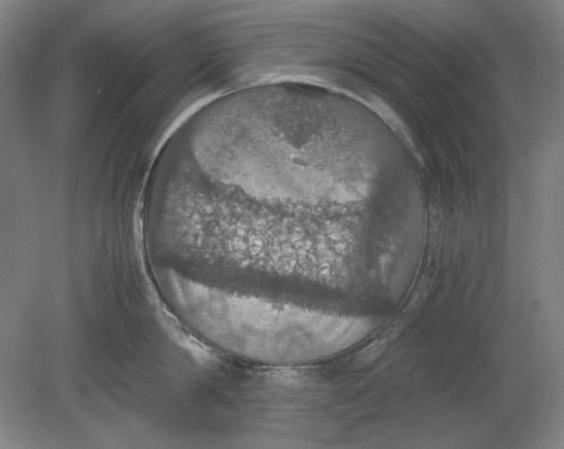 X0000080730814200701021118