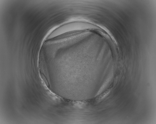 X0000080730815200701021118