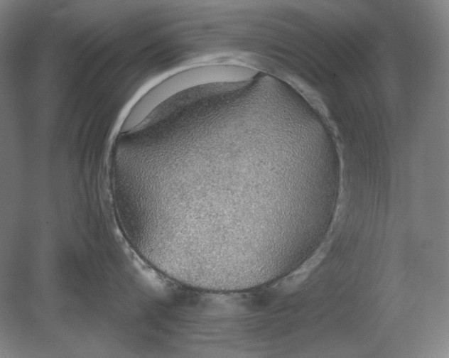 X0000080730816200701021118