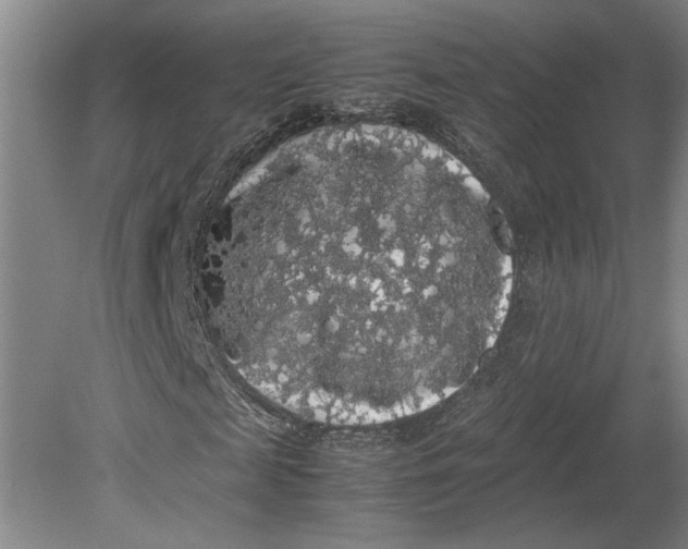 X0000080730817200701021117