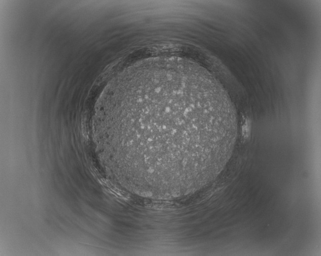 X0000080730819200701021117