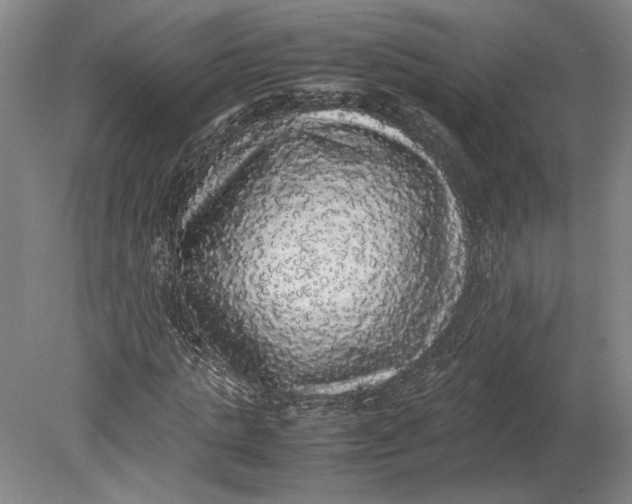 X0000080730821200701021117