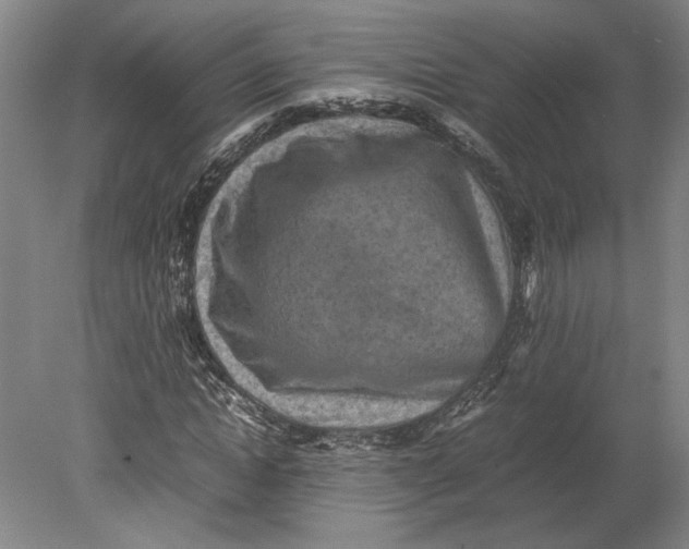 X0000080730822200701021117