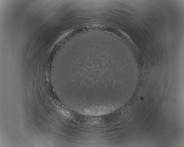 X0000080730823200701021117