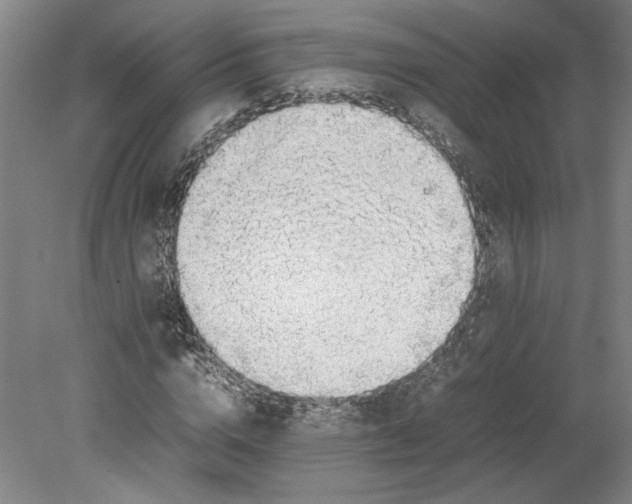 X0000080730824200701021118