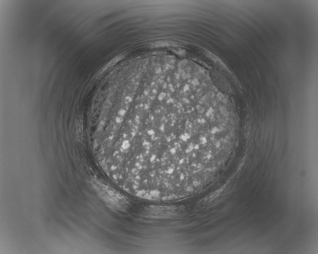 X0000080730825200701021118