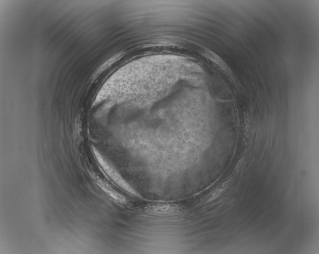 X0000080730826200701021118