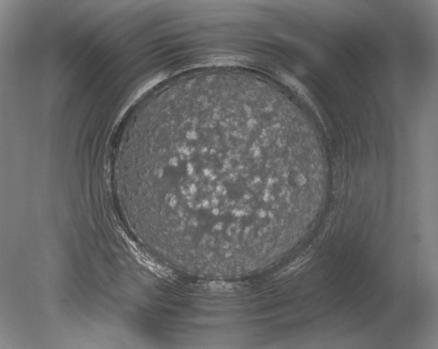 X0000080730827200701021118