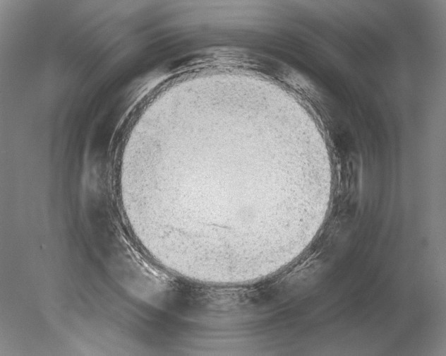 X0000080730828200701021118