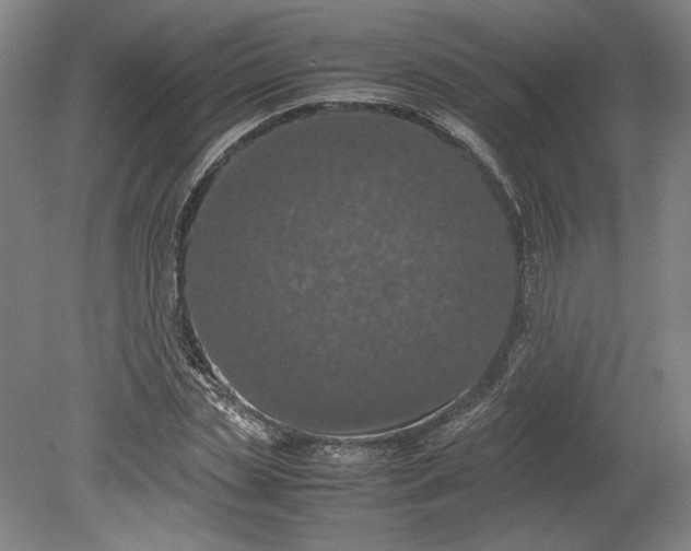 X0000080730829200701021118