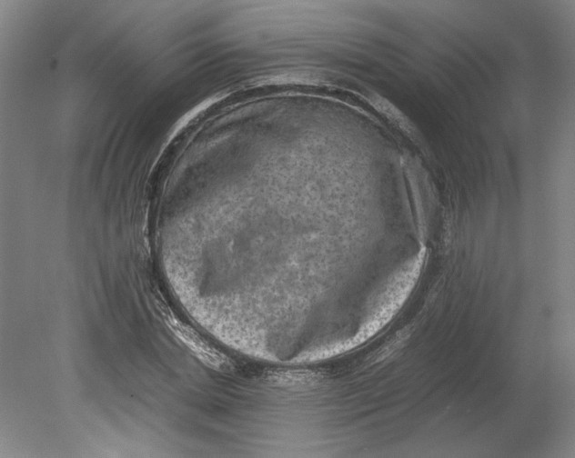 X0000080730830200701021118