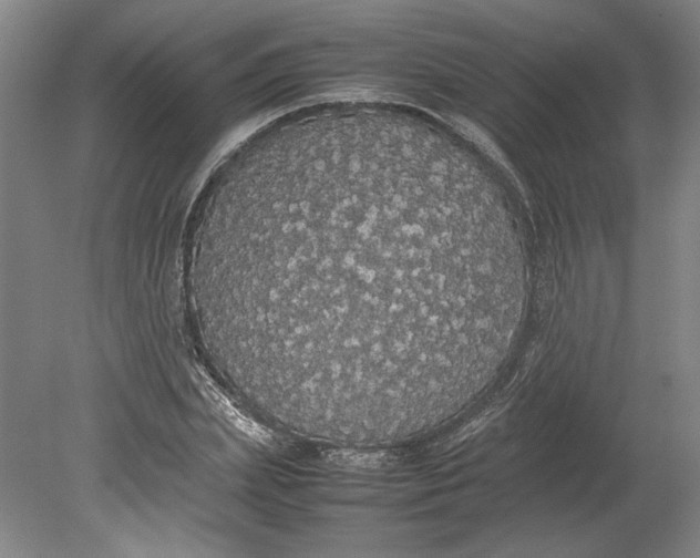 X0000080730831200701021118